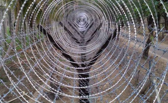 Concertina Coil Fencing