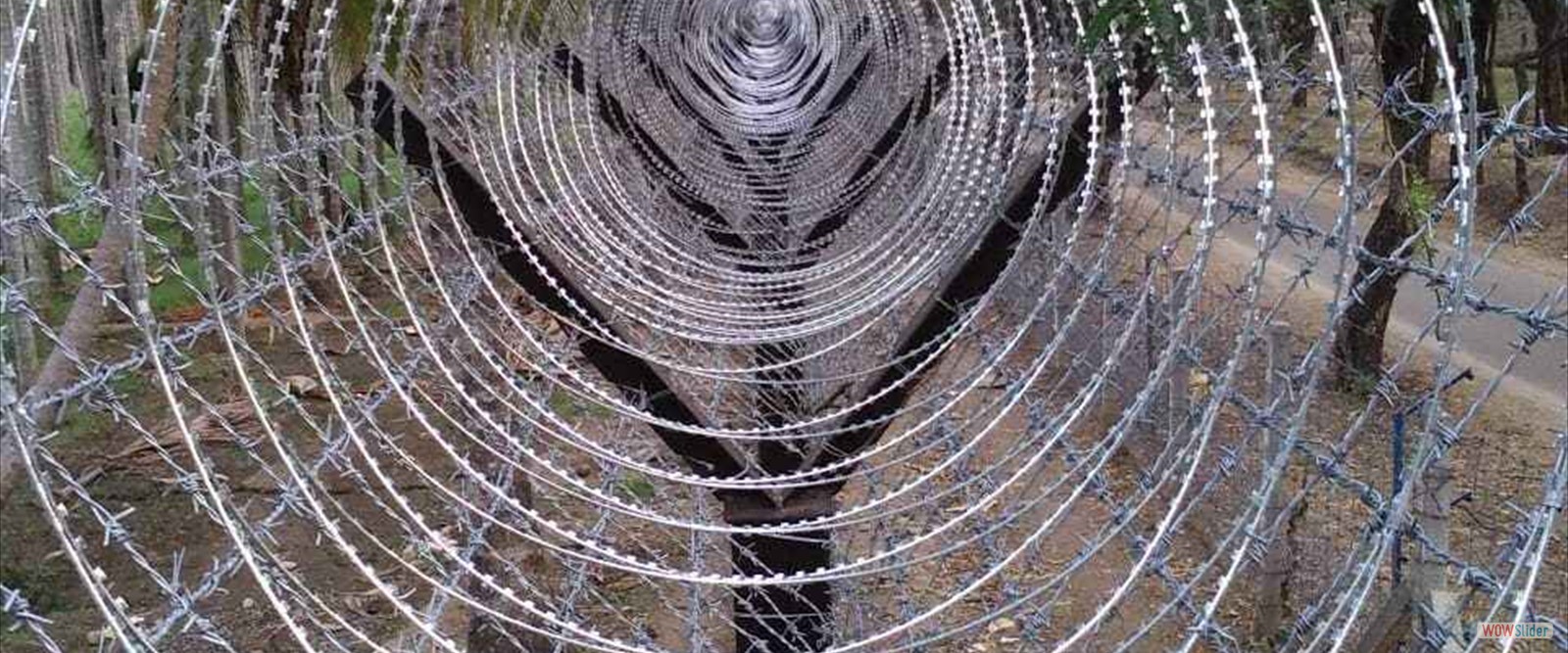 Concertina Chain Fencing : +917539991917