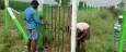 Fencing Gate Installation : +917539993782